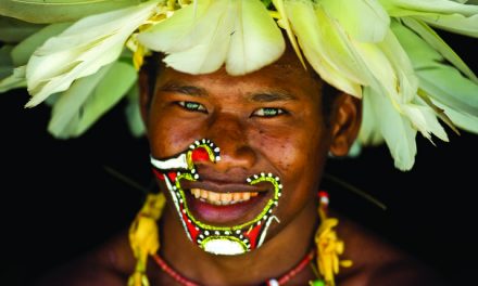 Saving Giant Turtles in Indonesia