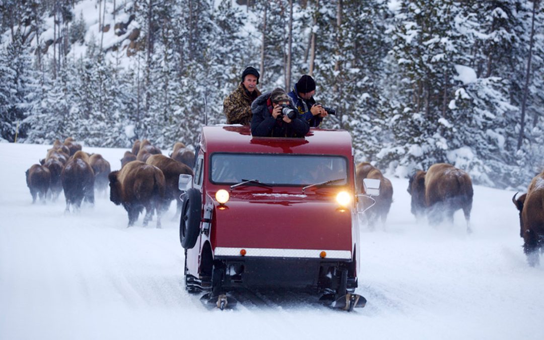 A New New Year’s Resolution