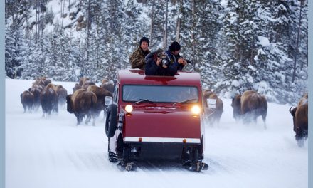 A New New Year’s Resolution