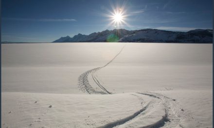 We Need More Snow Days