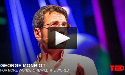 Video of the Week: Can "rewildling" create a wilder world?