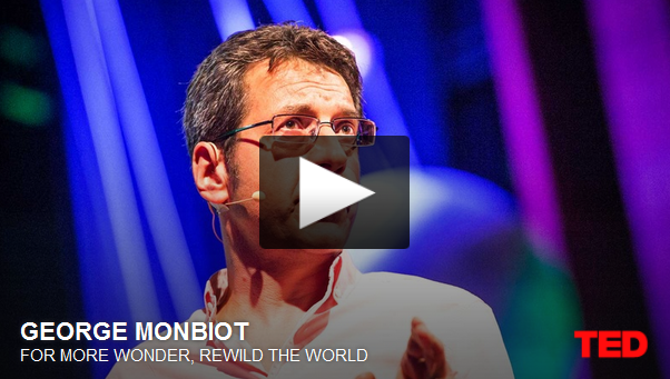 Video of the Week: Can "rewildling" create a wilder world?