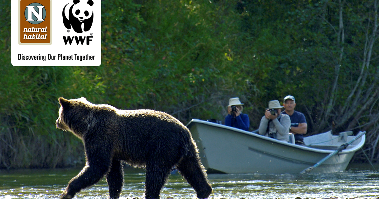 Introducing the new official travel blog of WWF and Natural Habitat Adventures!
