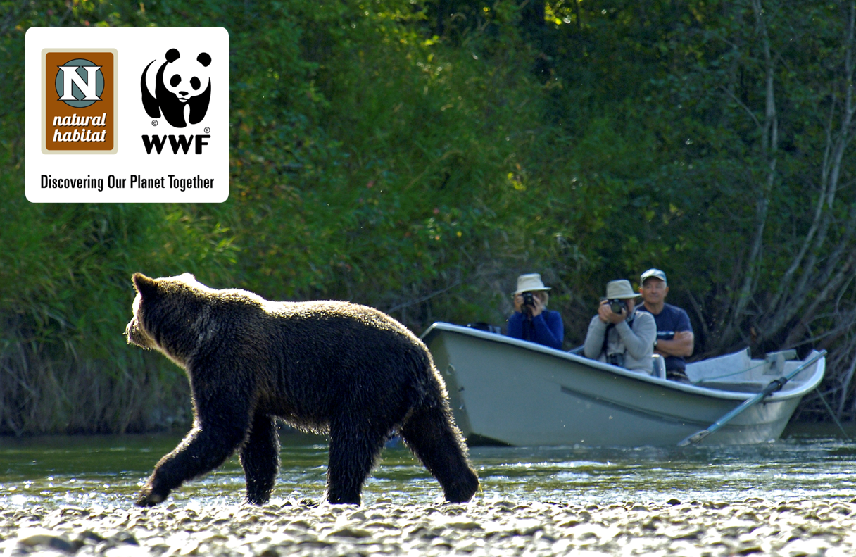 Nat Hab Alaska trip grizzly bear encounter