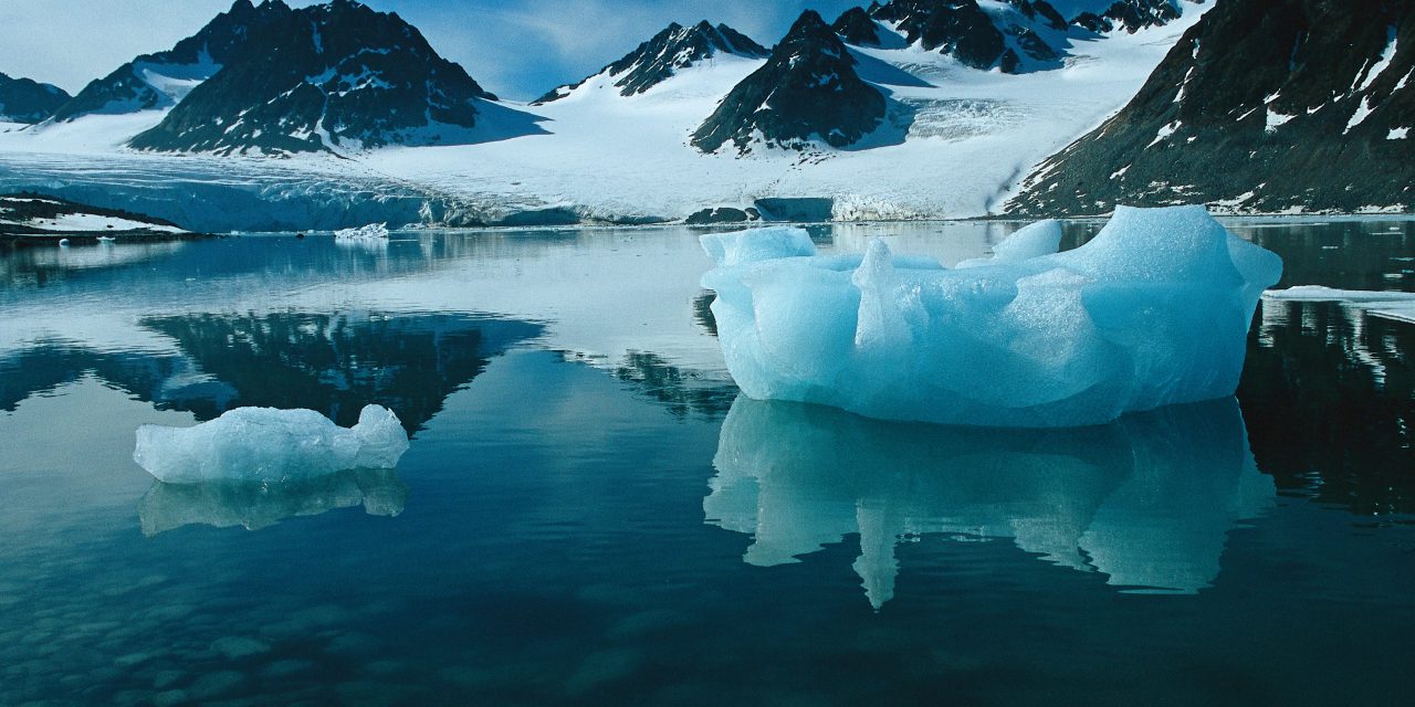 A Q-and-A on Climate Change in the Arctic with WWF’s Bryn Baker