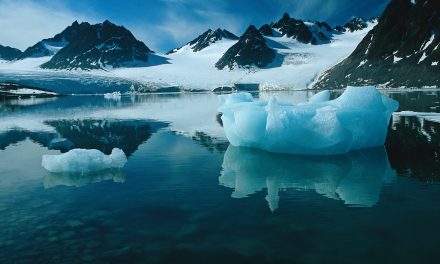 A Q-and-A on Climate Change in the Arctic with WWF’s Bryn Baker