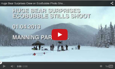 Video of the Week: Huge Bear Crashes A Dryer Commercial Shoot