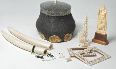 Help Stop Wildlife Crime: How to Buy Environmentally Friendly Souvenirs