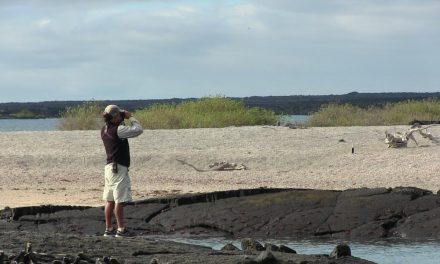 Unplugged, Unreachable and Overjoyed