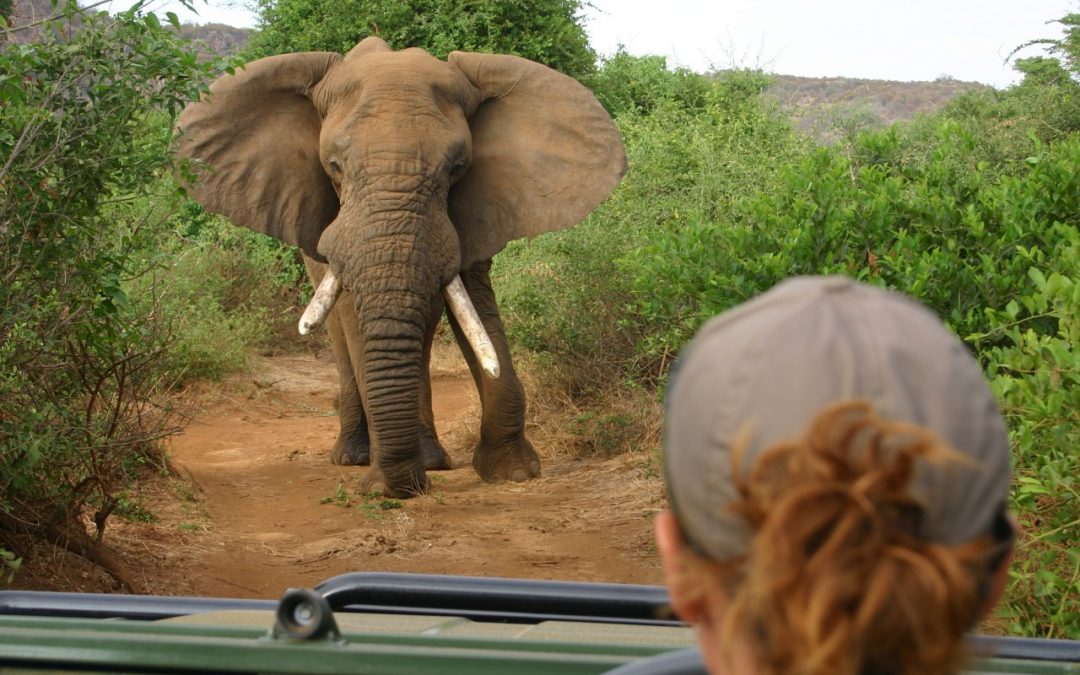11 WWF & Nat Hab Travel Destinations Top the New York Times 2014 Bucket List