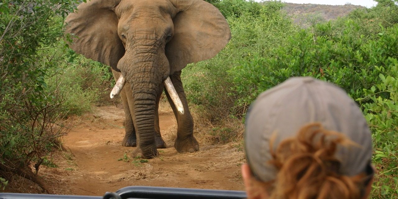 11 WWF & Nat Hab Travel Destinations Top the New York Times 2014 Bucket List