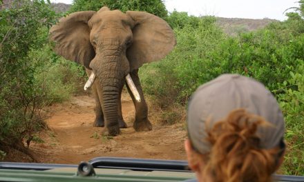 11 WWF & Nat Hab Travel Destinations Top the New York Times 2014 Bucket List