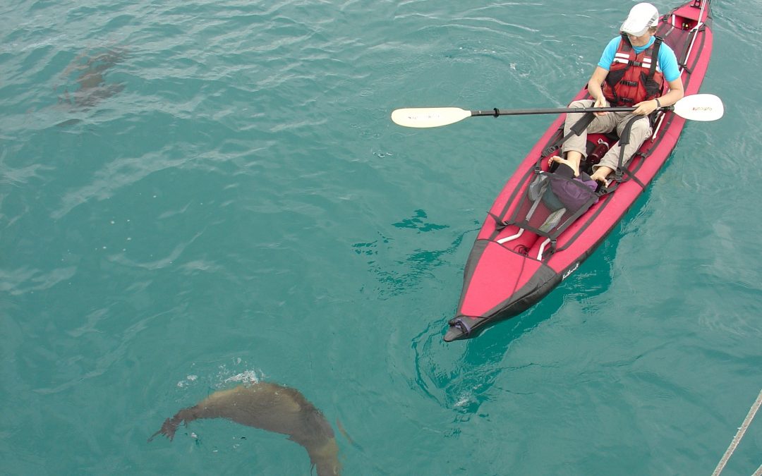 Top 5 Reasons to Go on an Active Adventure