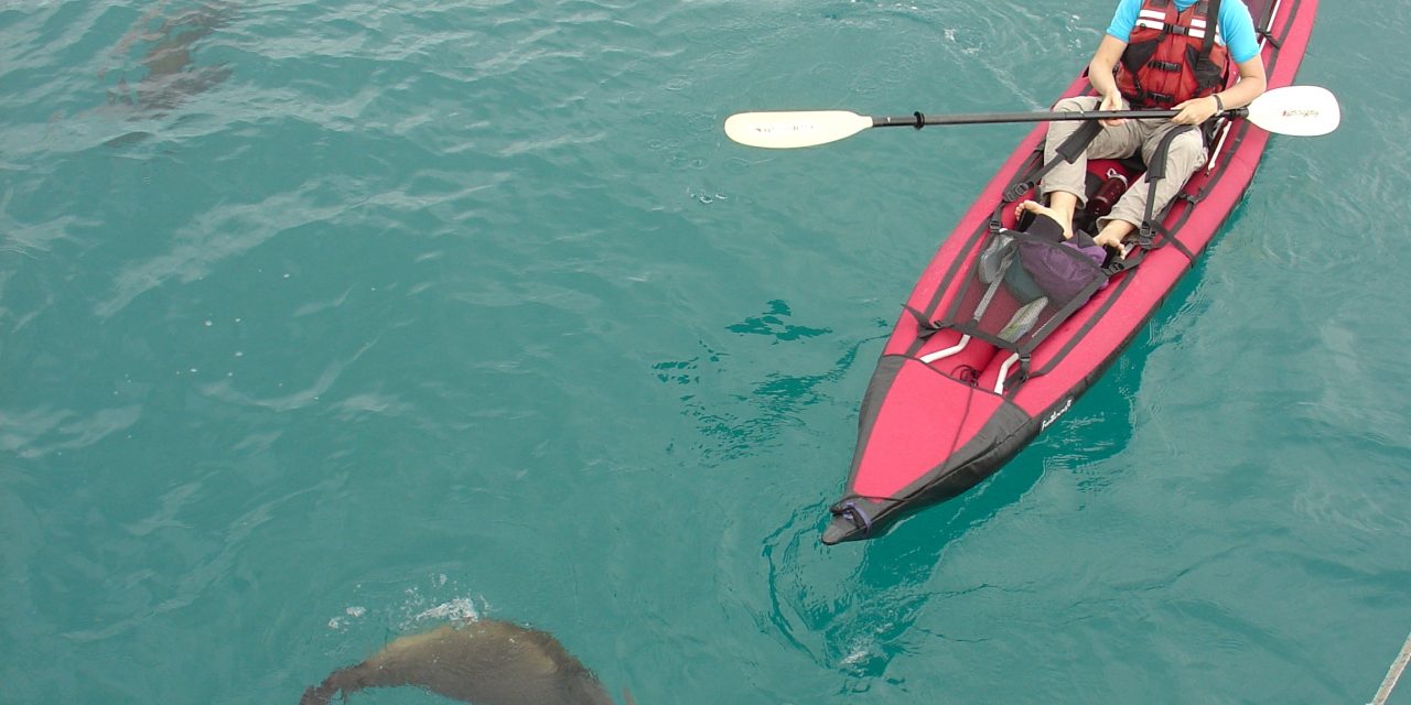 Top 5 Reasons to Go on an Active Adventure