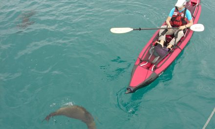 Top 5 Reasons to Go on an Active Adventure