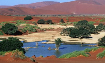 In Namibia, a Landscape Both Unforgiving and Awe-inspiring