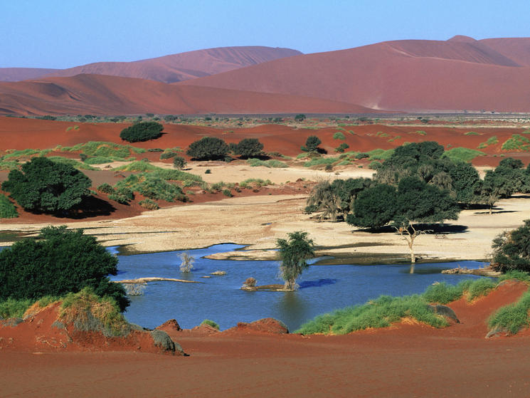 In Namibia, a Landscape Both Unforgiving and Awe-inspiring