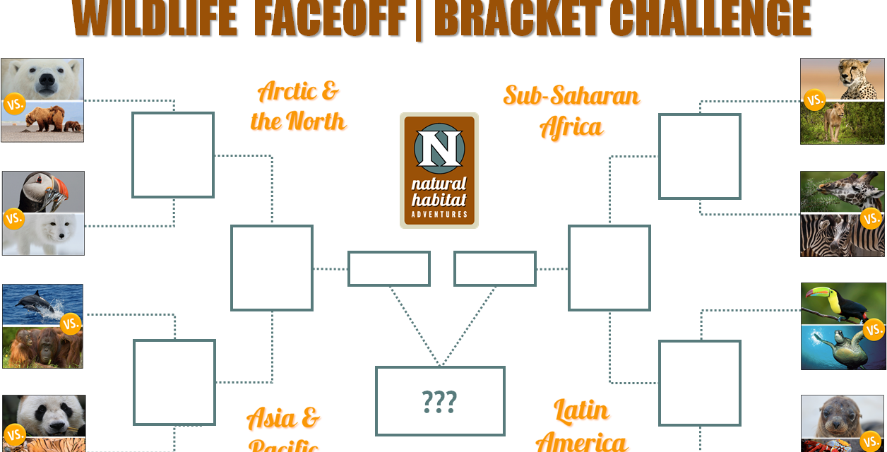 Wildlife Faceoff Bracket Challenge!