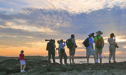 Choose Your Own Adventure: The Galapagos