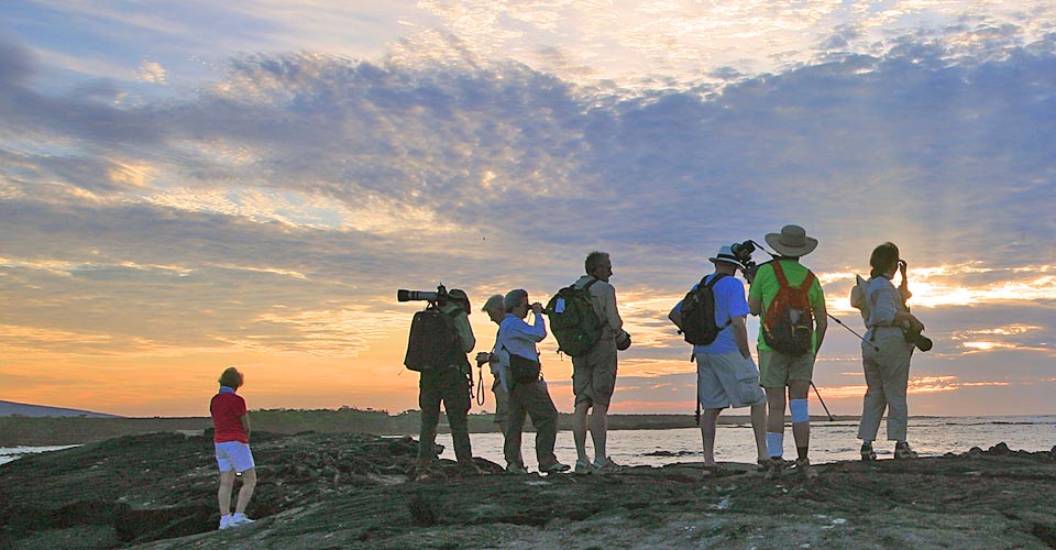 Choose Your Own Adventure: The Galapagos