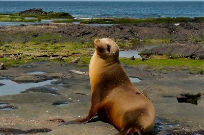 Galapagos Islands—Geography & Geology