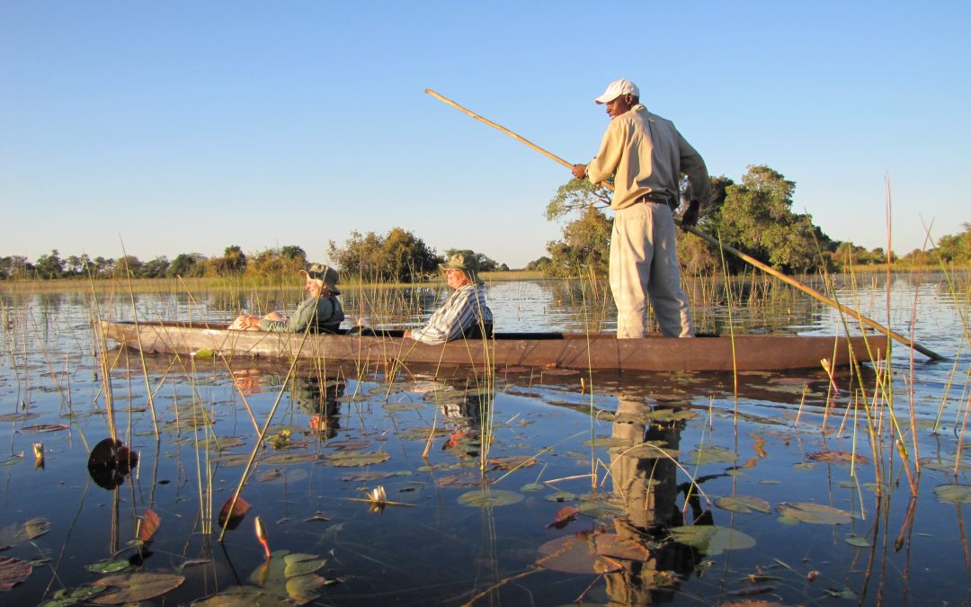 Botswana’s Green Season vs. Dry Season: When to Go?