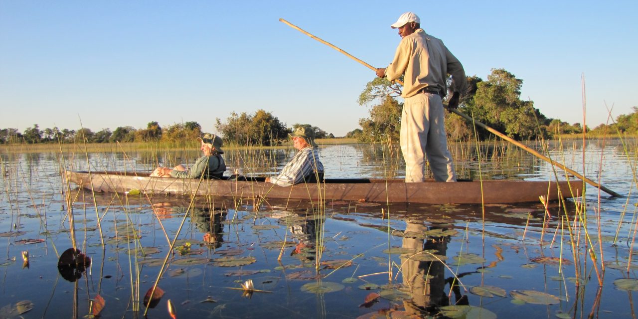 Botswana’s Green Season vs. Dry Season: When to Go?
