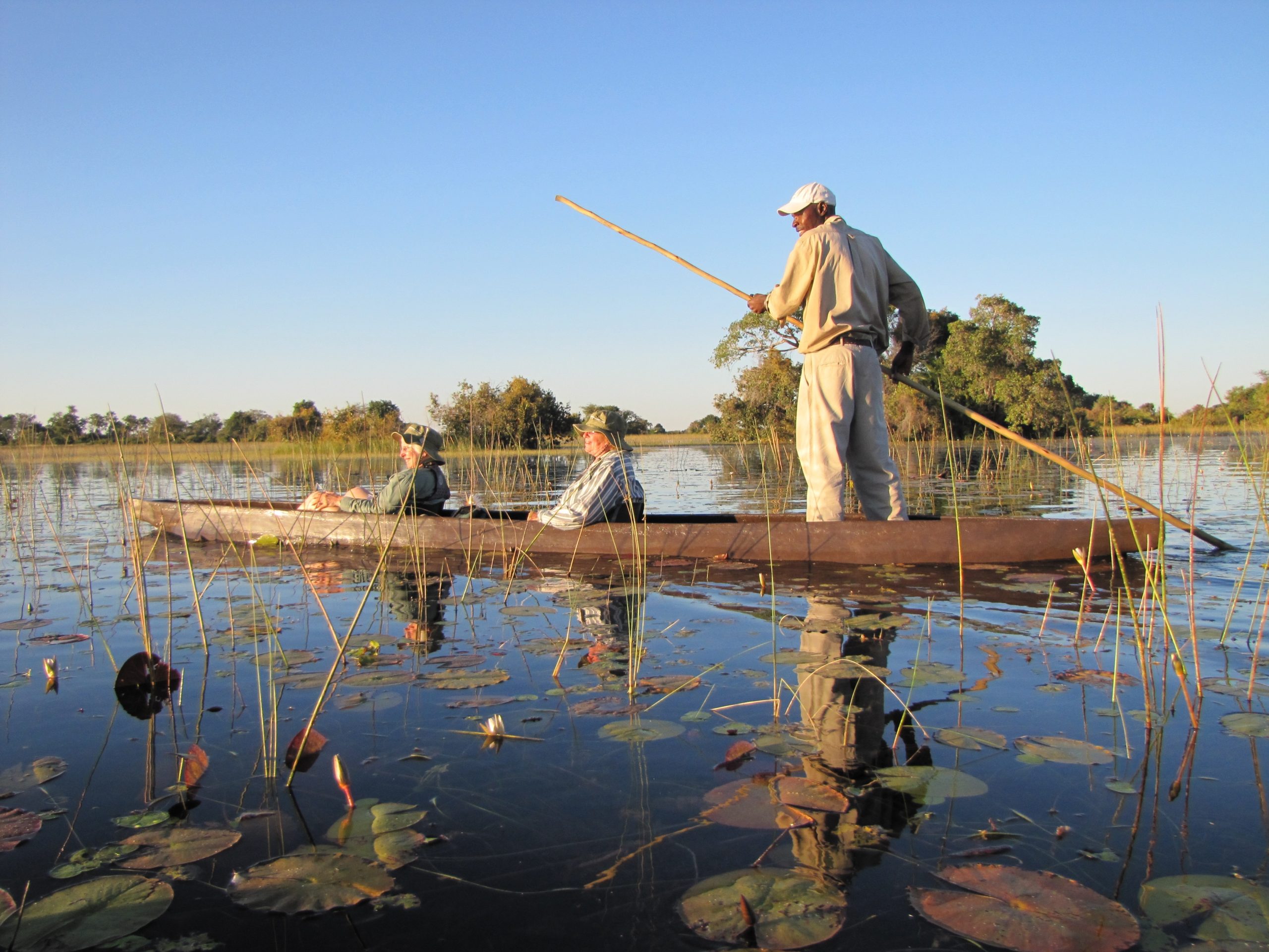 Traveling by a traditional dugout canoe, a mokoro, through the Okavango Delta