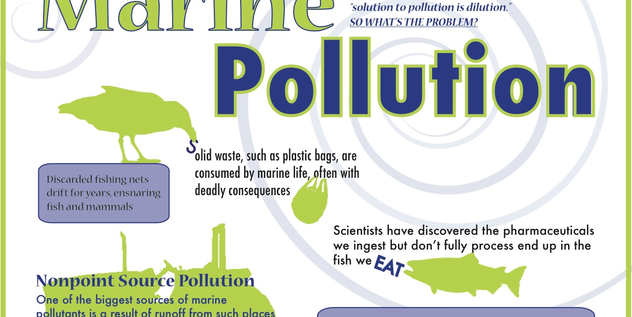 Infographic: Marine Pollution and Why We Should Care