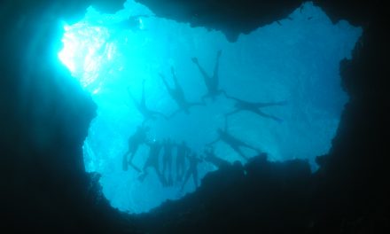 Know Before You Go: 10 Snorkeling Tips for an Undersea Odyssey