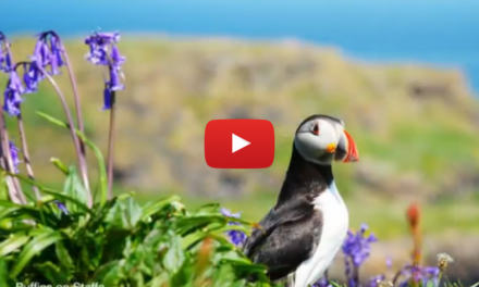 Video of the Week: Scotland's Award-winning Islands – The Outer Hebrides and More