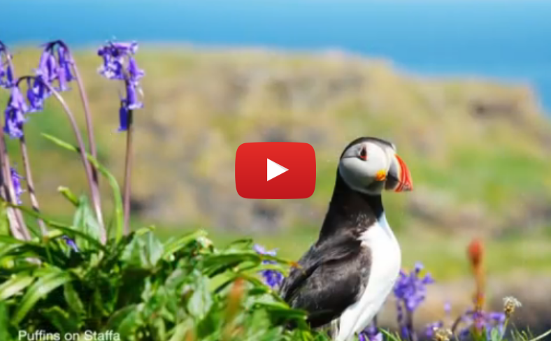 Video of the Week: Scotland's Award-winning Islands – The Outer Hebrides and More