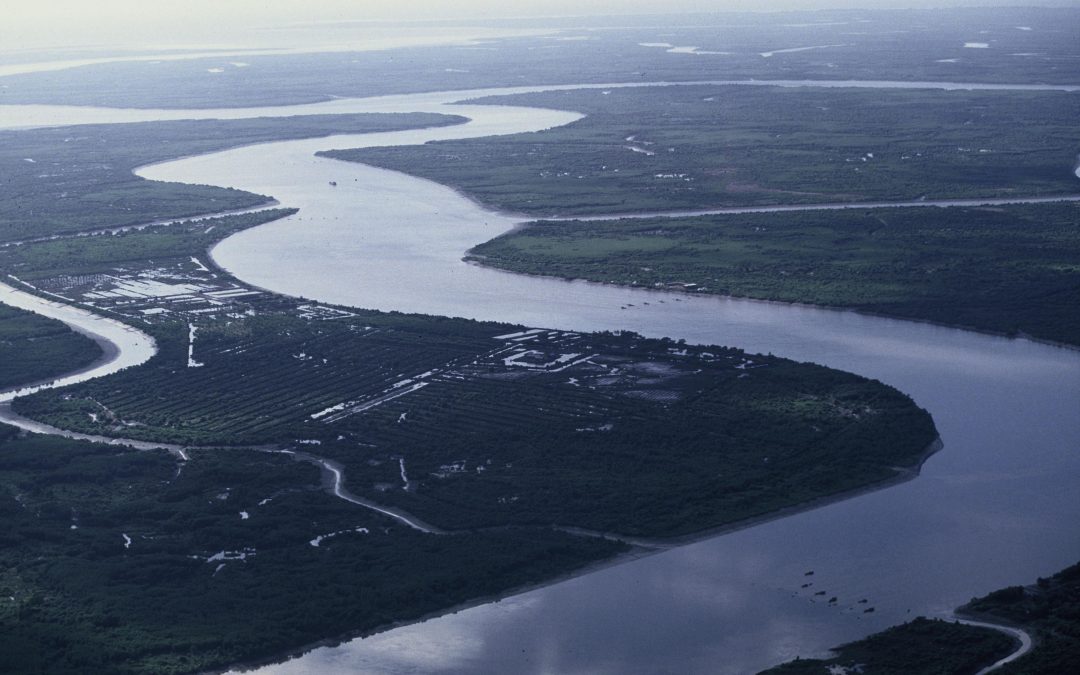 Coca-Cola's Toast to Water