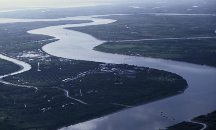Coca-Cola's Toast to Water
