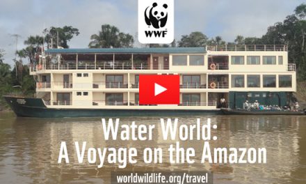 Video: Water World – A Voyage on the Amazon
