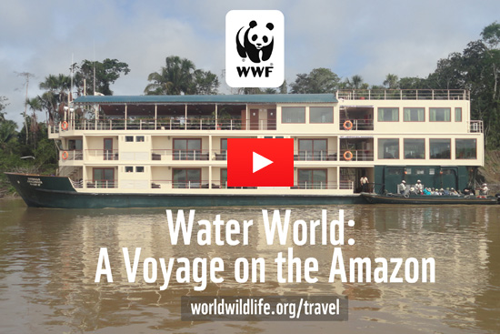 Video: Water World – A Voyage on the Amazon