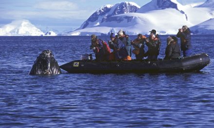 Inside Antarctica: Ship Life on an Antarctica Cruise – Then and Now