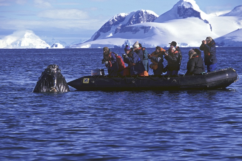 Inside Antarctica: Ship Life on an Antarctica Cruise – Then and Now