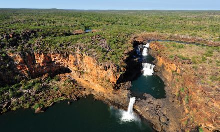 Eagle Steals a Camera and Creates One-of-a-Kind Film