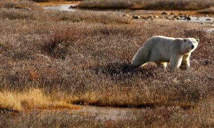 It’s Earth Day 2014: What Will Earth Day 2064 Look Like?