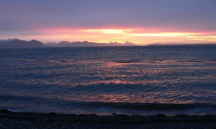 Kayaking in Glacier Bay National Park