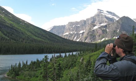 The Funniest Bad Yelp Reviews of National Parks