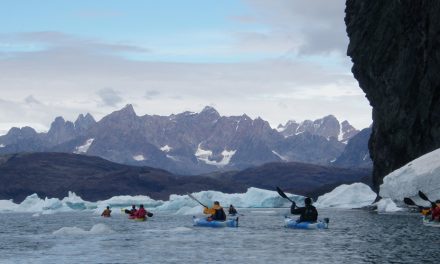 How Travel Can Promote Conservation