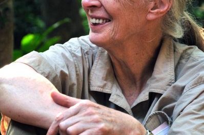 Help Jane Goodall Celebrate Her 80th Birthday!