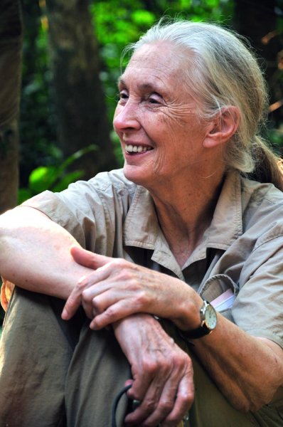 Help Jane Goodall Celebrate Her 80th Birthday!