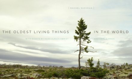 Great Read: The Oldest Living Things in the World