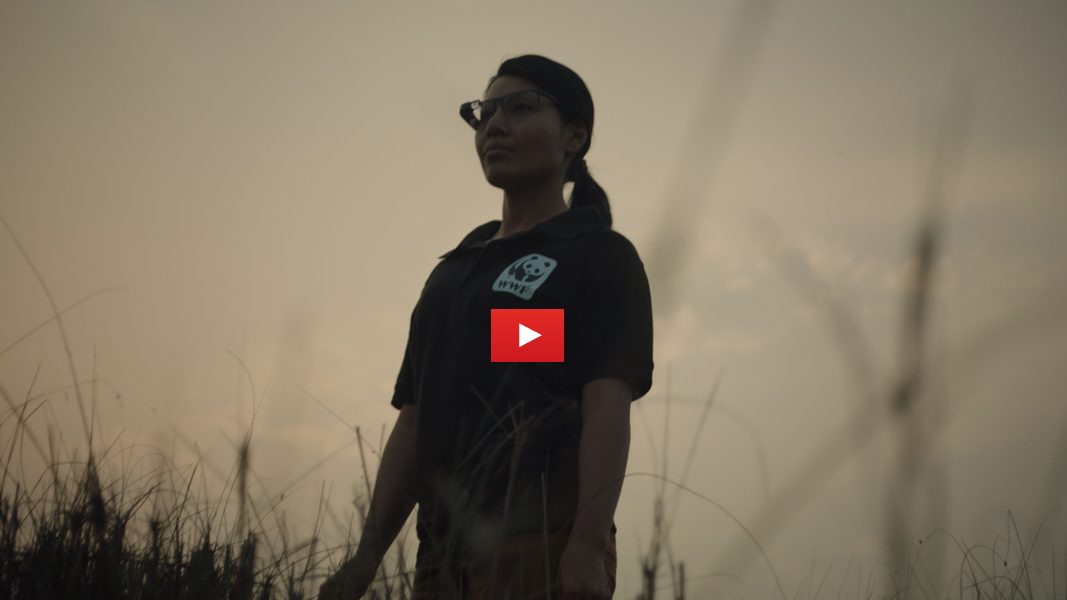 Video: Google Glass Aids Rhino Conservation Groundwork