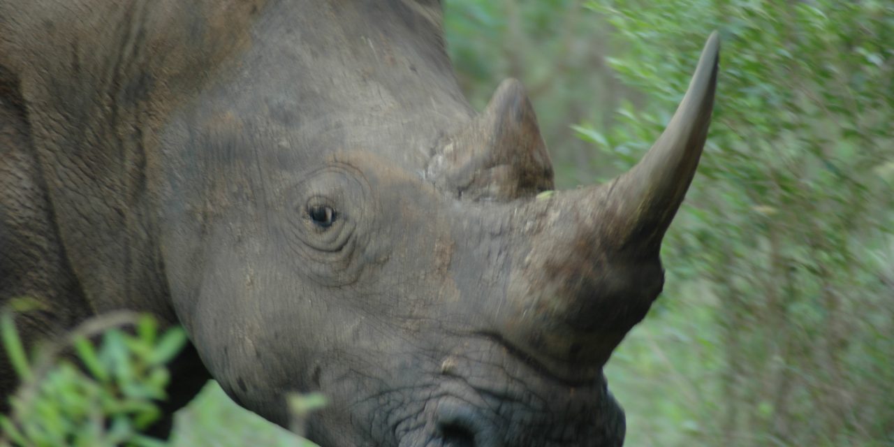 School of Thought: Eight Things South Africa Taught Me