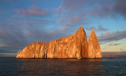 Spotlight on Sustainability: What is the IGTOA?