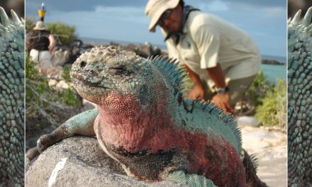 11 Ways That Travel Can Change Your Life